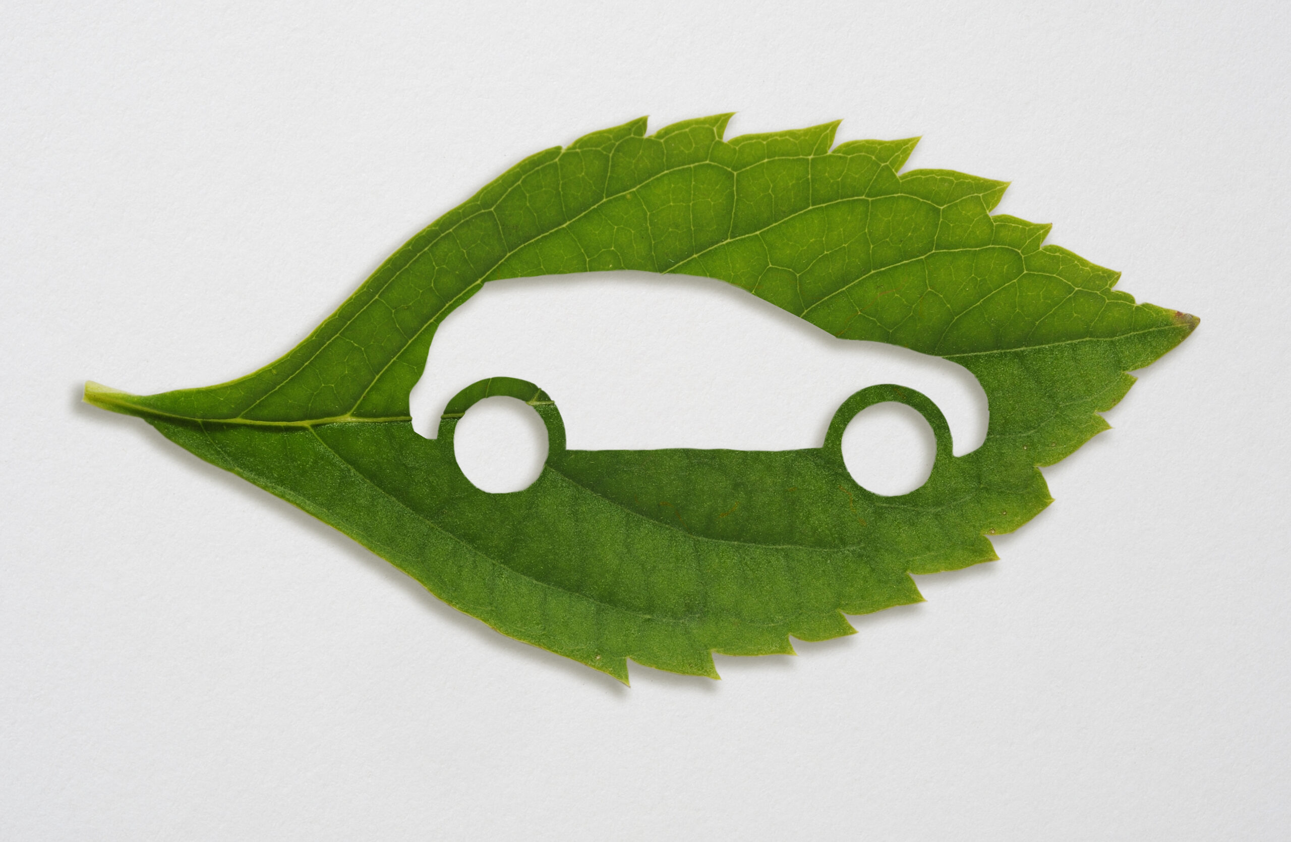 green leaf with a cut out car symbol